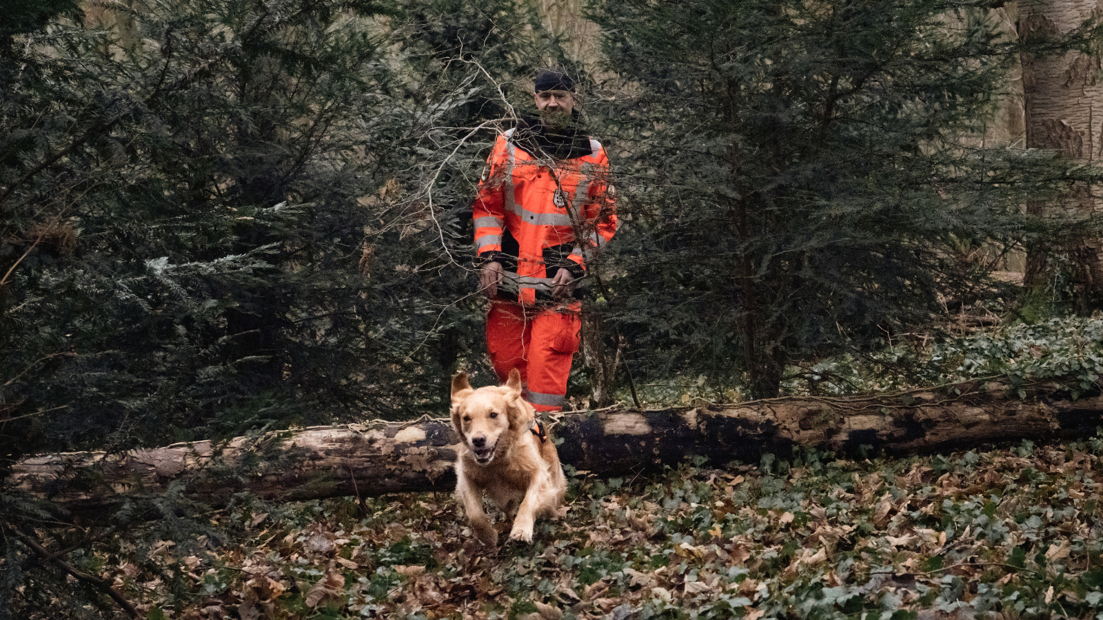 Tobias Fleckenstein mit seiner Hündin Alma im Einsatz